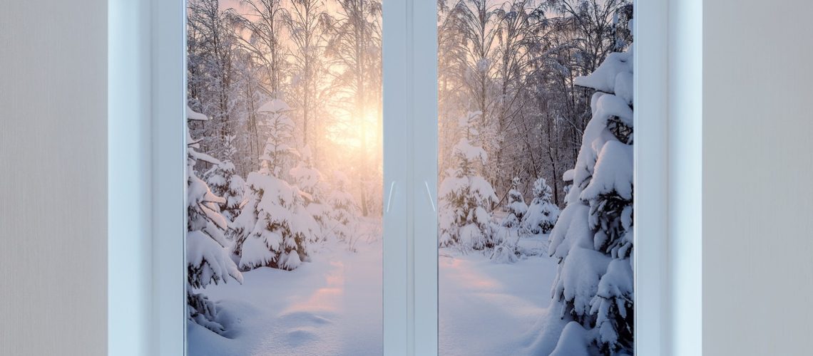 Early morning view of the winter forest from the window.