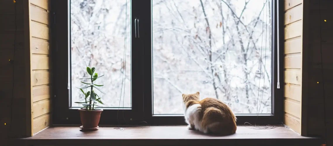 windows installation